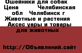 Ошейники для собак  › Цена ­ 300 - Челябинская обл., Челябинск г. Животные и растения » Аксесcуары и товары для животных   